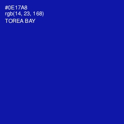 #0E17A8 - Torea Bay Color Image